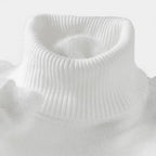 Herren Rollkragenpullover aus Wolle