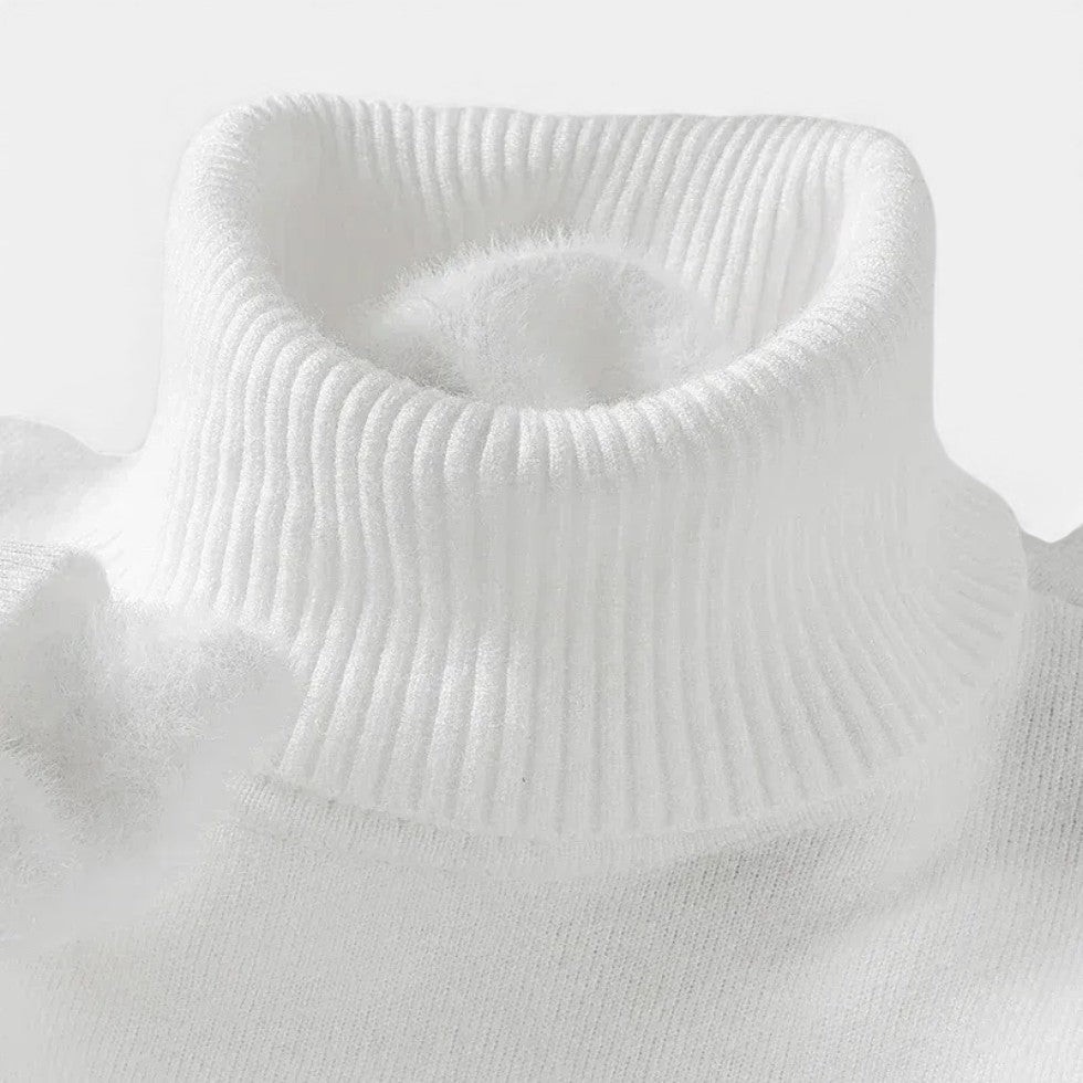 Herren Rollkragenpullover aus Wolle